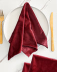 Velvet Napkins - Set of 4 - Variety of Colours - Linen Closet Home