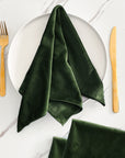 Velvet Napkins - Set of 4 - Variety of Colours