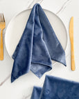 Velvet Napkins - Set of 4 - Variety of Colours - Linen Closet Home