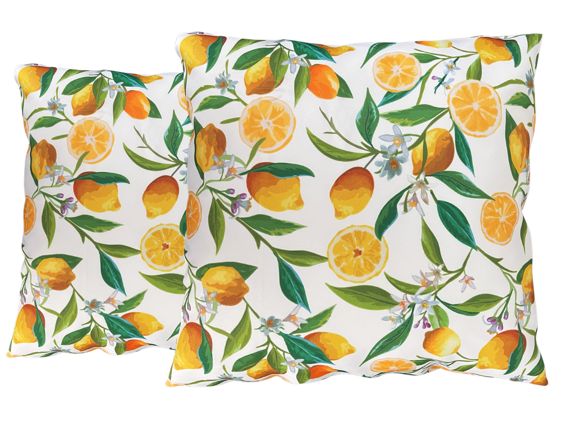 Lemon 2024 throw pillow