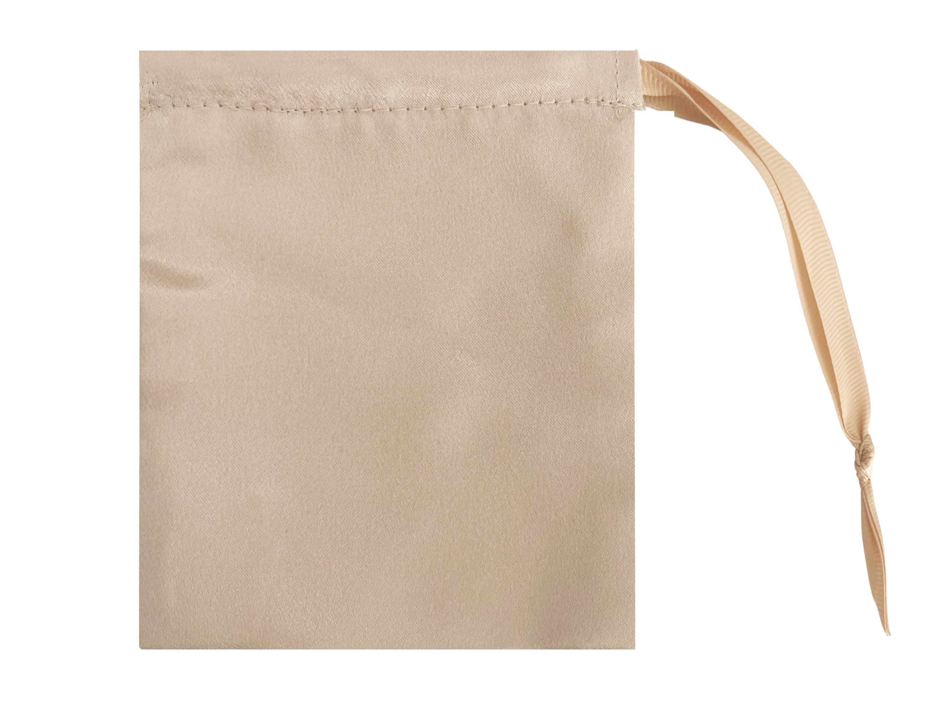 Nude Satin Accessory Bag for purses, shoes, jewelry and more